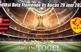 Prediksi Bola Flamengo Vs Aucas 29 Juni 2023